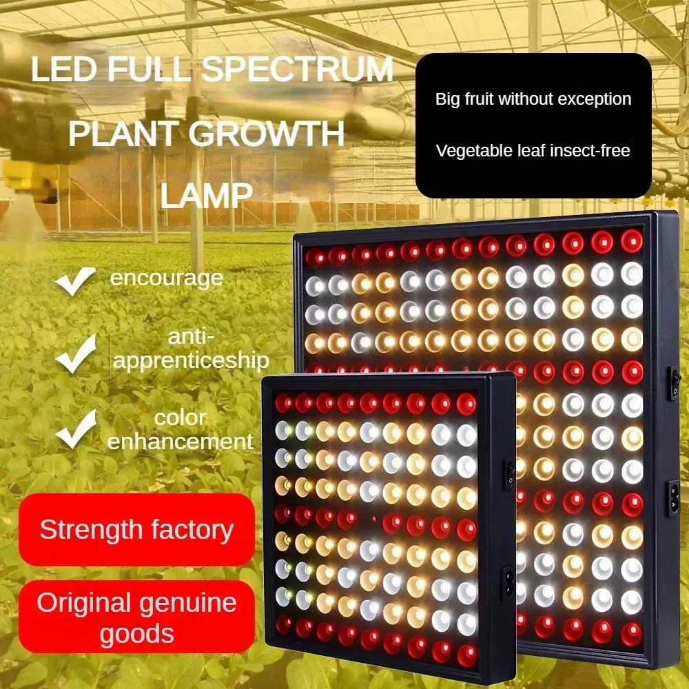 169 LED 성장 램프, 양자 플레이트 식물 램프, 실내 전체 스펙트럼 식재 램프, 온실 야채 필 라이트 램프